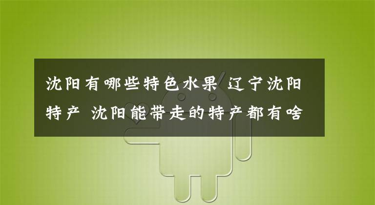 沈阳有哪些特色水果 辽宁沈阳特产 沈阳能带走的特产都有啥啊