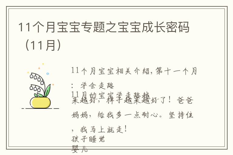 11个月宝宝专题之宝宝成长密码（11月）