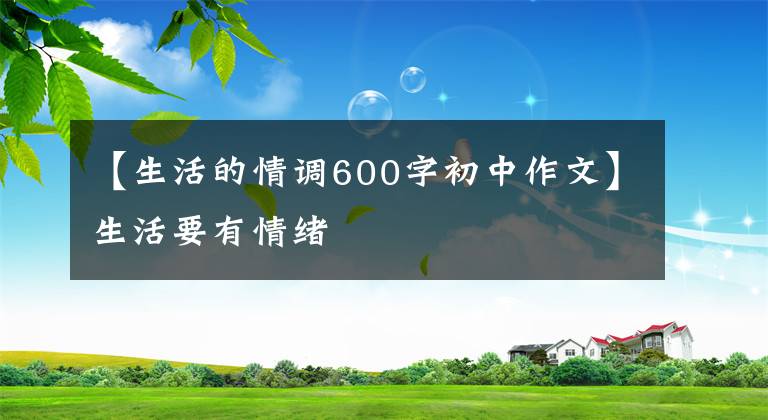 【生活的情调600字初中作文】生活要有情绪