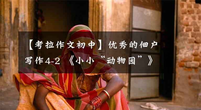 【考拉作文初中】优秀的佃户写作4-2 《小小“动物园”》