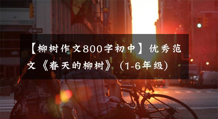 【柳树作文800字初中】优秀范文《春天的柳树》 (1-6年级)，为孩子们准备的收藏品。