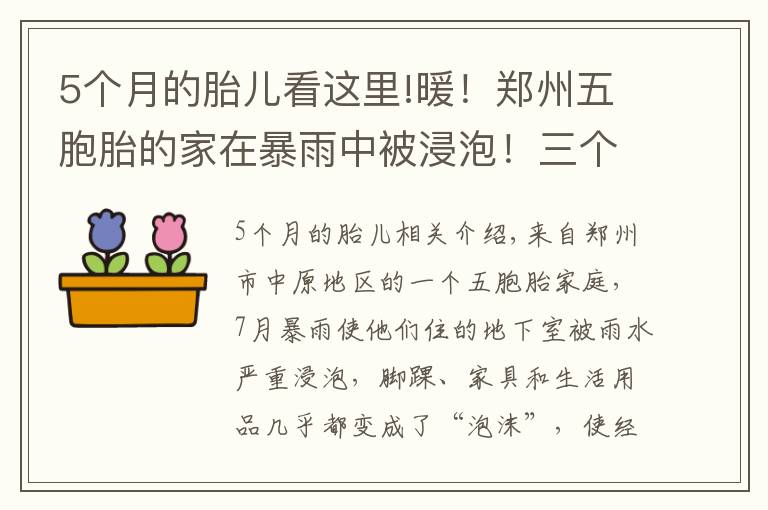 5个月的胎儿看这里!暖！郑州五胞胎的家在暴雨中被浸泡！三个月后，大变样了……