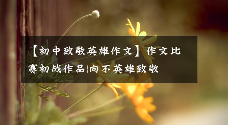 【初中致敬英雄作文】作文比赛初战作品|向不英雄致敬