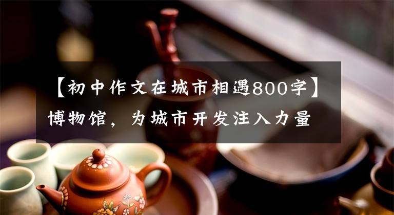 【初中作文在城市相遇800字】博物馆，为城市开发注入力量