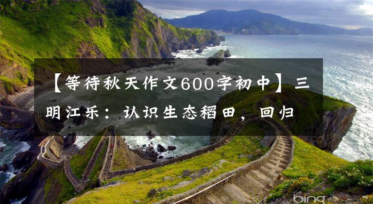 【等待秋天作文600字初中】三明江乐：认识生态稻田，回归梦想田园领域