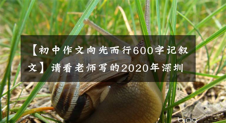 【初中作文向光而行600字记叙文】请看老师写的2020年深圳市古诗语文作文！你敢试试吗？