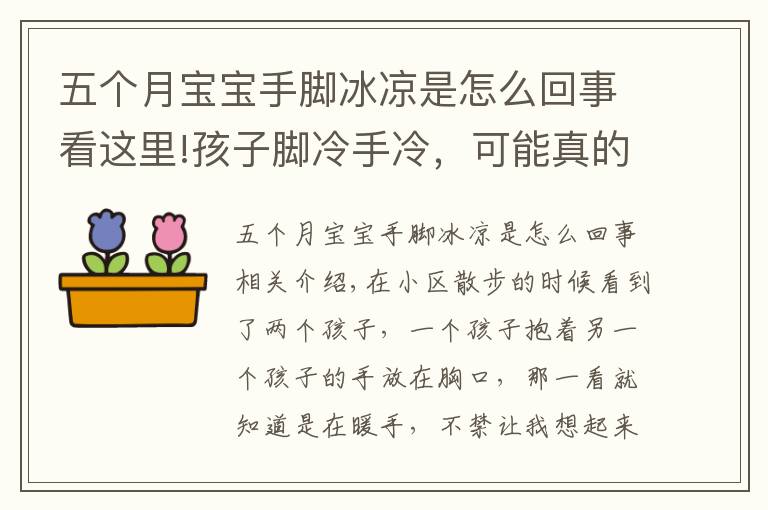 五个月宝宝手脚冰凉是怎么回事看这里!孩子脚冷手冷，可能真的不怪天气，你给孩子泡过脚吗？