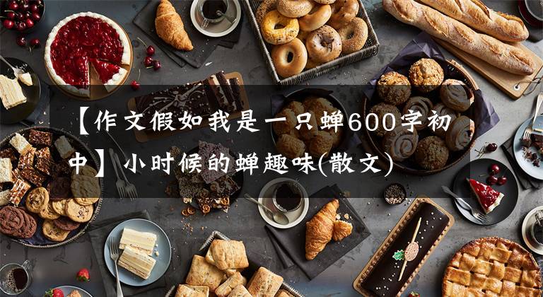 【作文假如我是一只蝉600字初中】小时候的蝉趣味(散文)