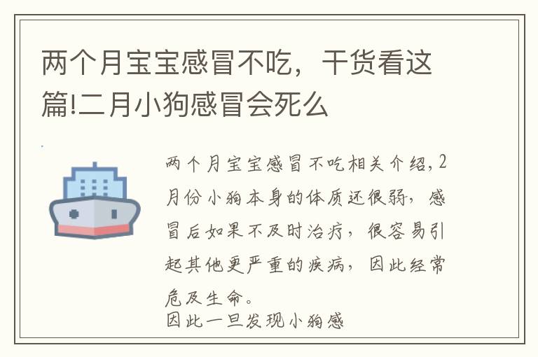 两个月宝宝感冒不吃，干货看这篇!二月小狗感冒会死么