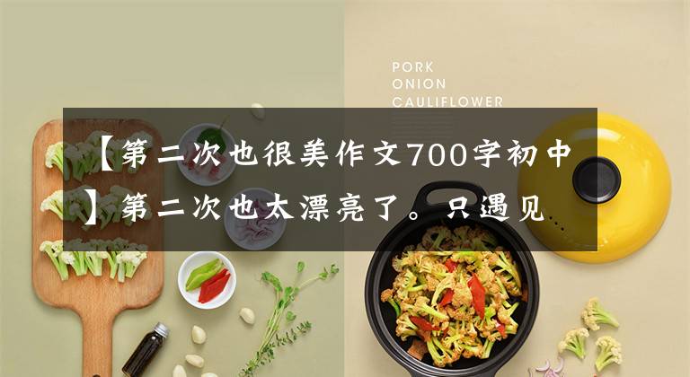 【第二次也很美作文700字初中】第二次也太漂亮了。只遇见对的你(深深的再婚好文章)