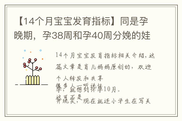 【14个月宝宝发育指标】同是孕晚期，孕38周和孕40周分娩的娃无差别？三个方面区别很明显