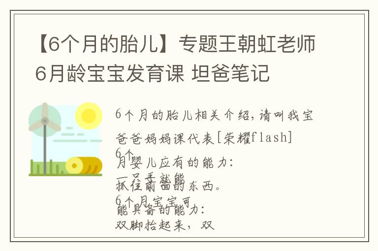 【6个月的胎儿】专题王朝虹老师 6月龄宝宝发育课 坦爸笔记