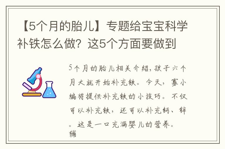 【5个月的胎儿】专题给宝宝科学补铁怎么做？这5个方面要做到