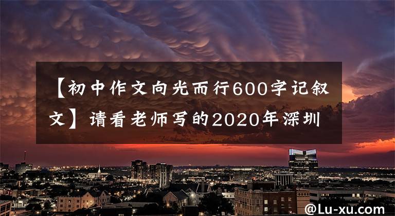 【初中作文向光而行600字记叙文】请看老师写的2020年深圳市古诗语文作文！你敢试试吗？