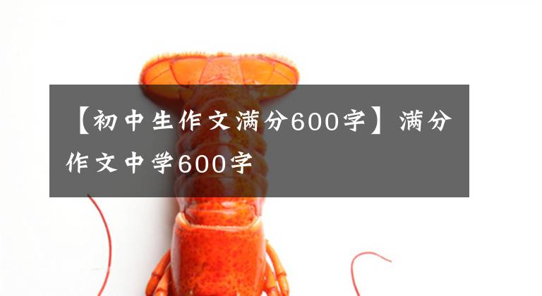 【初中生作文满分600字】满分作文中学600字