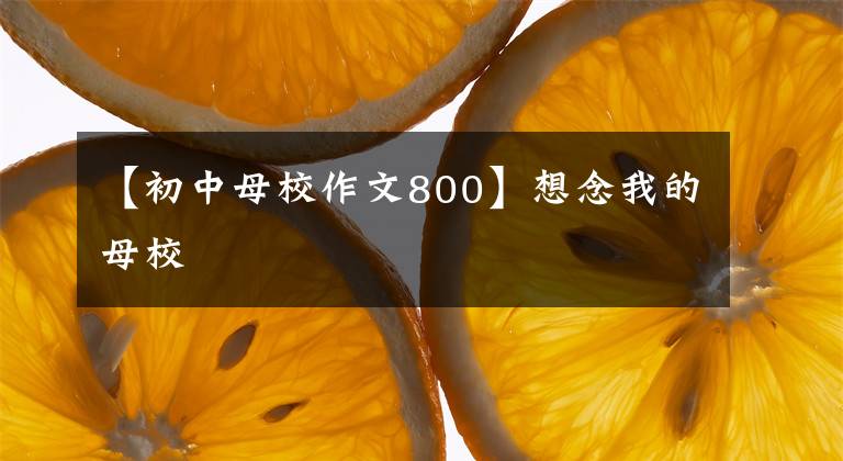 【初中母校作文800】想念我的母校