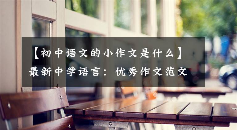 【初中语文的小作文是什么】最新中学语言：优秀作文范文精选20篇！包括评论，给孩子上一课