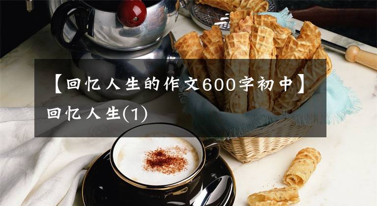 【回忆人生的作文600字初中】回忆人生(1)