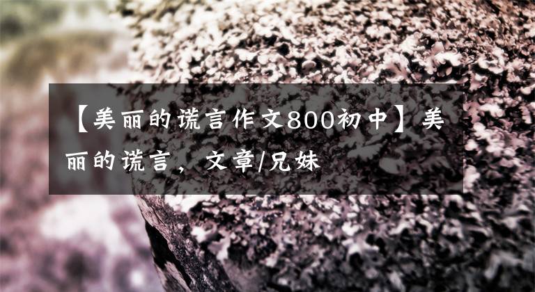 【美丽的谎言作文800初中】美丽的谎言，文章/兄妹