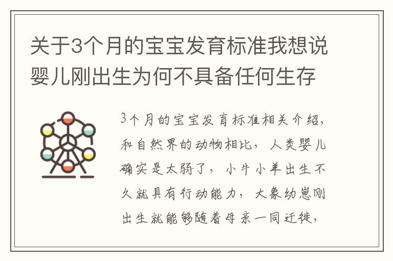 关于3个月的宝宝发育标准我想说婴儿刚出生为何不具备任何生存能力？