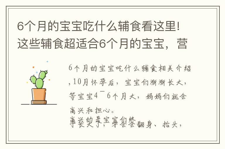 6个月的宝宝吃什么辅食看这里!这些辅食超适合6个月的宝宝，营养又美味，新手爸妈再也不用愁了