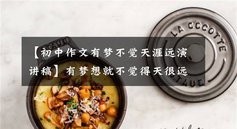 【初中作文有梦不觉天涯远演讲稿】有梦想就不觉得天很远