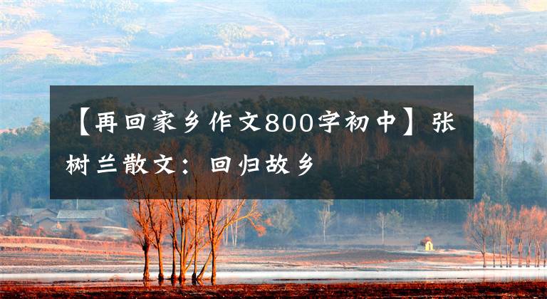 【再回家乡作文800字初中】张树兰散文：回归故乡