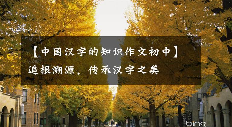 【中国汉字的知识作文初中】追根溯源，传承汉字之美