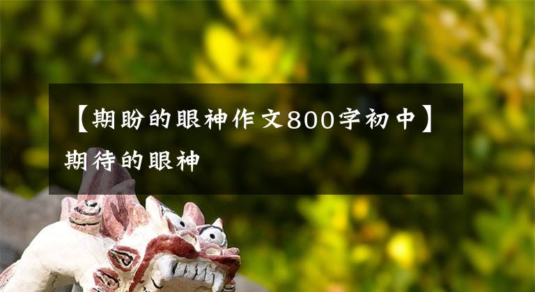 【期盼的眼神作文800字初中】期待的眼神