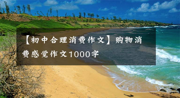 【初中合理消费作文】购物消费感觉作文1000字