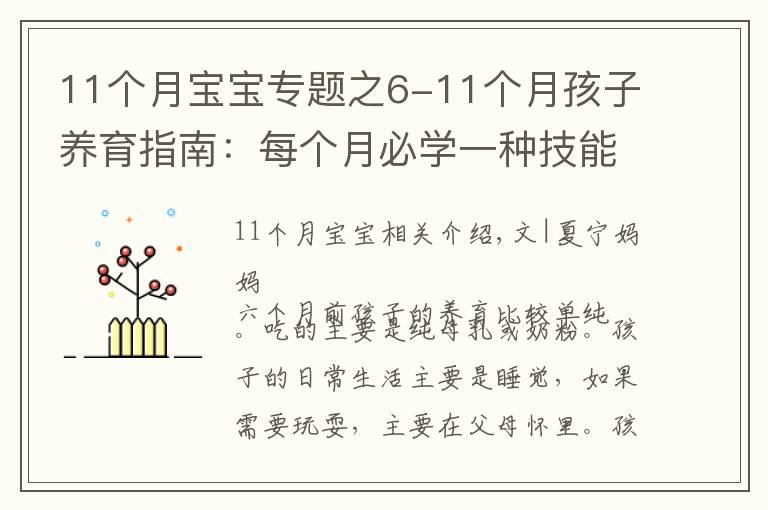 11个月宝宝专题之6-11个月孩子养育指南：每个月必学一种技能，妈妈咋帮助娃成长