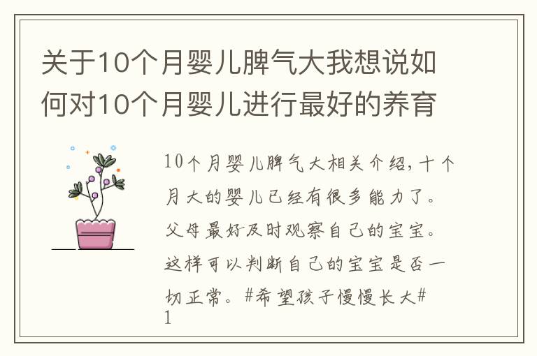 关于10个月婴儿脾气大我想说如何对10个月婴儿进行最好的养育