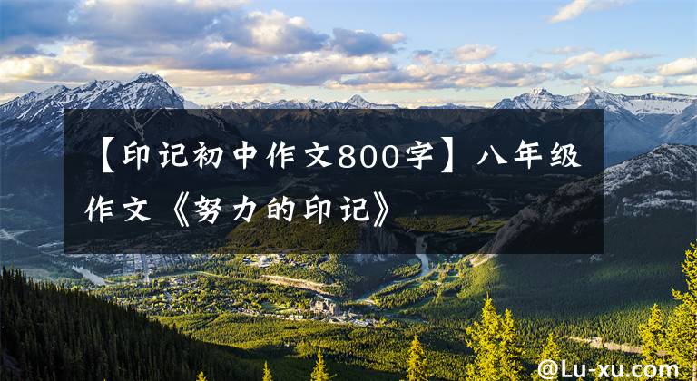 【印记初中作文800字】八年级作文《努力的印记》