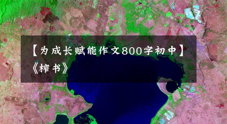 【为成长赋能作文800字初中】《榨书》