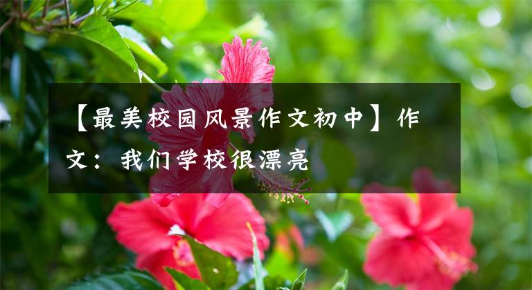 【最美校园风景作文初中】作文：我们学校很漂亮