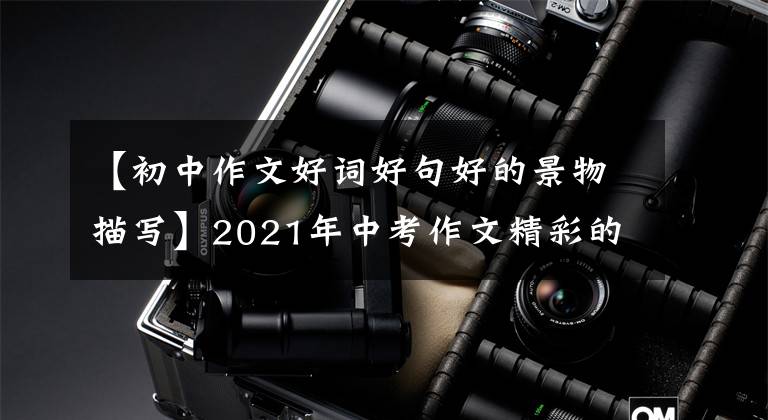 【初中作文好词好句好的景物描写】2021年中考作文精彩的开始结束亮点-风景篇(2/18)(转载)