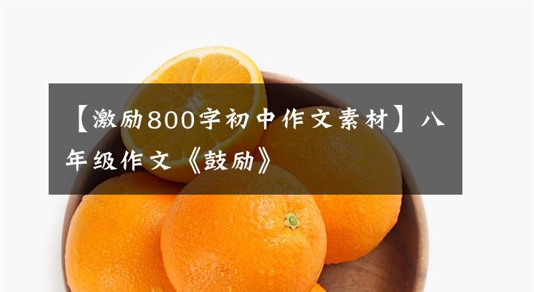 【激励800字初中作文素材】八年级作文《鼓励》