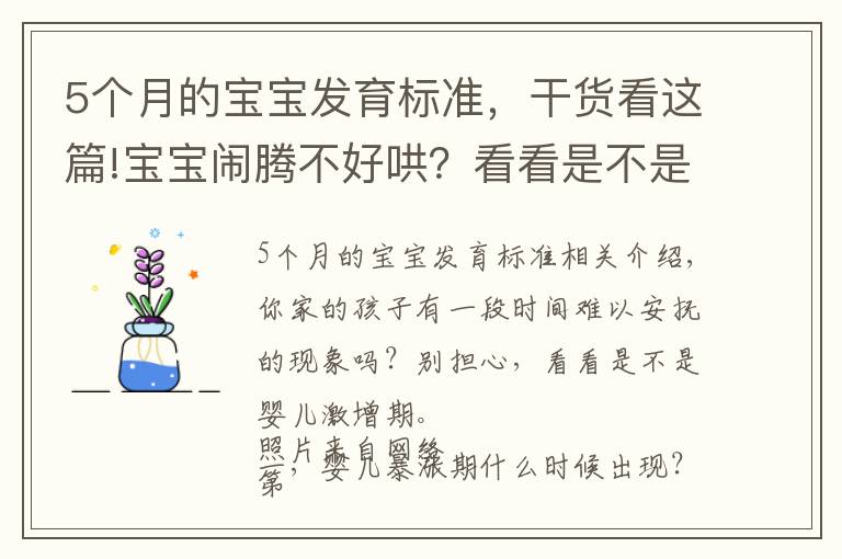 5个月的宝宝发育标准，干货看这篇!宝宝闹腾不好哄？看看是不是猛涨期到了