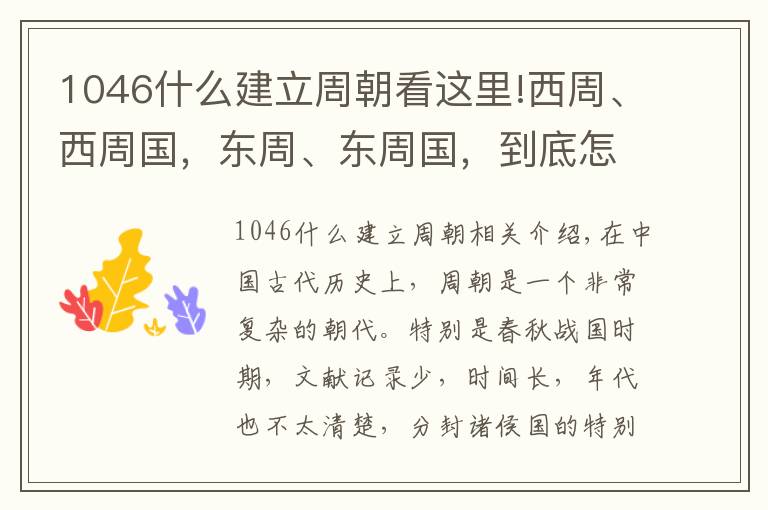 1046什么建立周朝看这里!西周、西周国，东周、东周国，到底怎么区分？