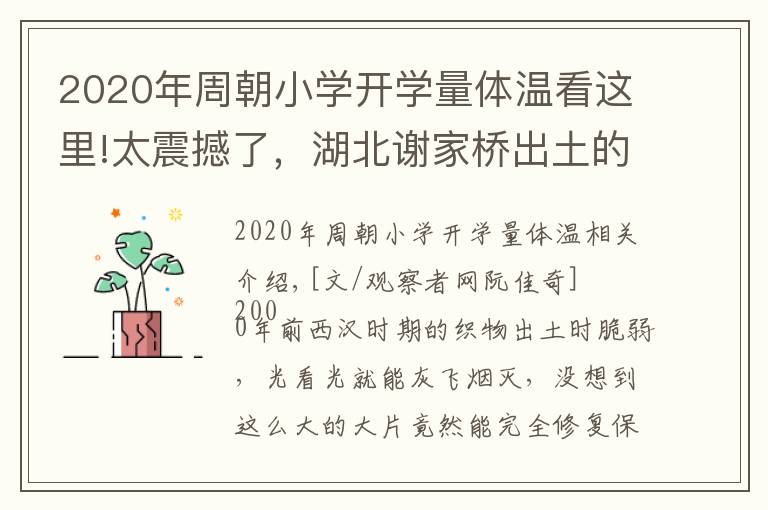 2020年周朝小学开学量体温看这里!太震撼了，湖北谢家桥出土的2000年前西汉荒帷“焕新”