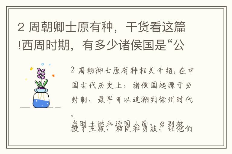 2 周朝卿士原有种，干货看这篇!西周时期，有多少诸侯国是“公爵”呢？