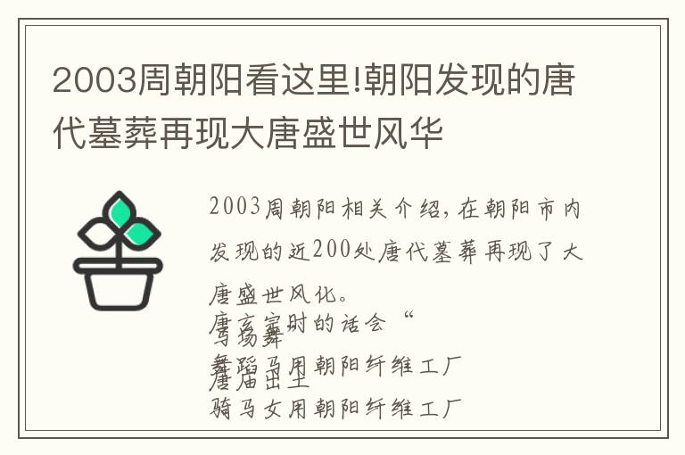 2003周朝阳看这里!朝阳发现的唐代墓葬再现大唐盛世风华