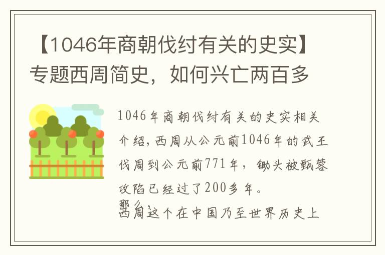 【1046年商朝伐纣有关的史实】专题西周简史，如何兴亡两百多年的？