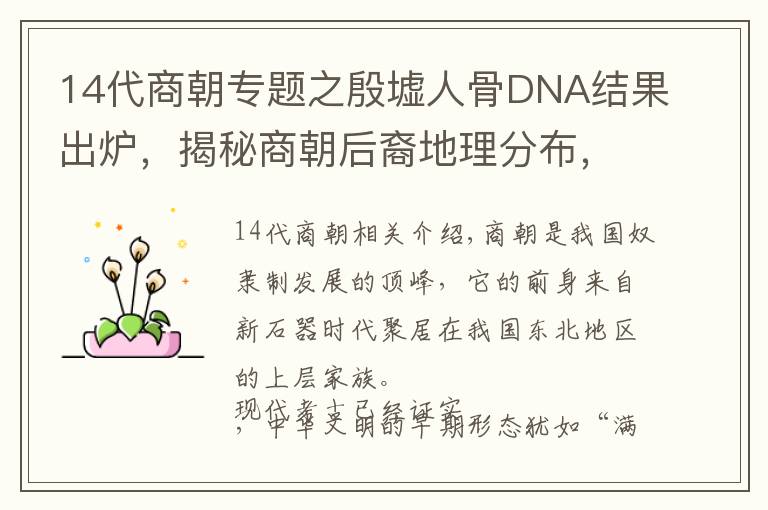 14代商朝专题之殷墟人骨DNA结果出炉，揭秘商朝后裔地理分布，网友：有点意外