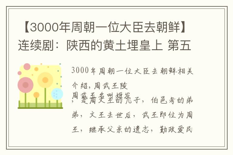 【3000年周朝一位大臣去朝鲜】连续剧：陕西的黄土埋皇上 第五集 周武王陵