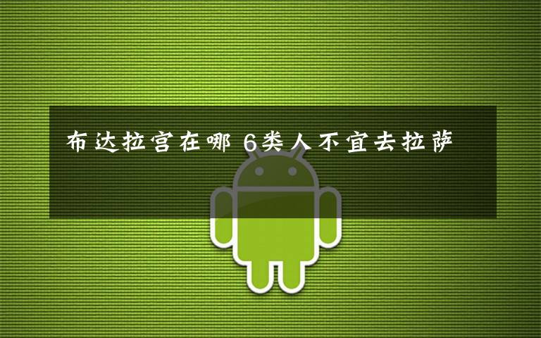 布达拉宫在哪 6类人不宜去拉萨文章配图