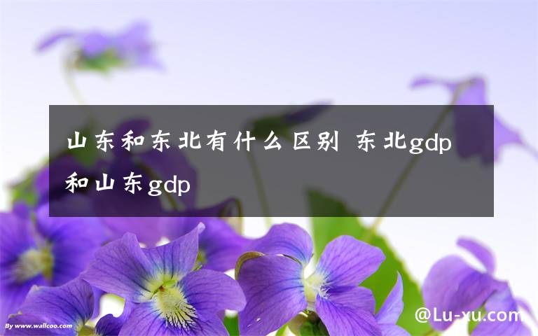 山东和东北有什么区别 东北gdp和山东gdp