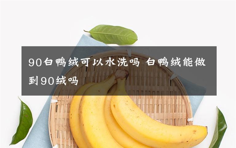 90白鸭绒可以水洗吗 白鸭绒能做到90绒吗