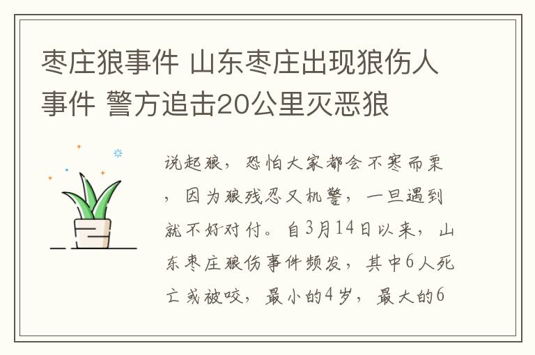 枣庄狼事件 山东枣庄出现狼伤人事件 警方追击20公里灭恶狼