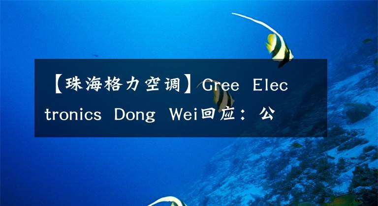 【珠海格力空调】Gree  Electronics  Dong  Wei回应：公司推出了专门为新能源汽车开发的纯电动热泵空调。